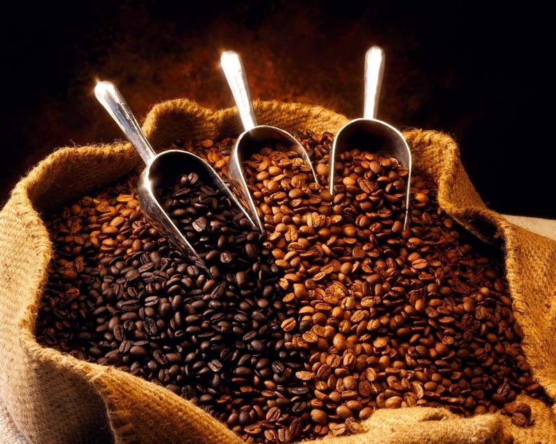 mejores granos de cafe del mundo