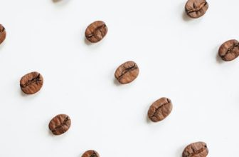 Café Robusta y Arábica: explorando sus diferencias