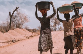 Uvas finas de África