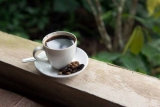 Café de caca de gato (Kopi Luwak): convertir la caca en oro