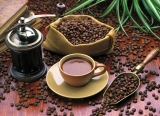 Especialidad en café gourmet: lo que necesitas saber