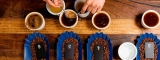 Campeonato Mundial del Café 2024