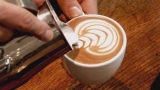 Mini Curso de Barista