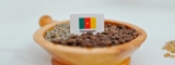 Explorando la Cultura y Producción del Café en Camerún