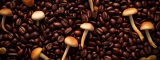 Guía del café con hongos para principiantes