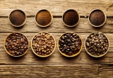 Mejor Café de Costa Rica: Comprar, preparar y más