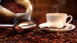 ¿Qué es la acidez del café?