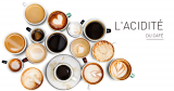 ¿Qué es la acidez del café?  Análisis.