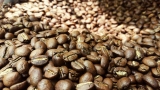 De la cafeína al descafeinado
