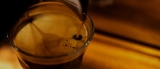 Café de Origen Cauca, un café con sabor a montaña