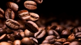¿Qué es el café de primera calidad?