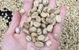 Guía para comprar mejores café carabela
