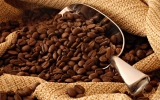 Café Mocha: El café más antiguo del mundo