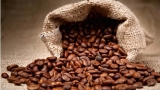 Granos de café monzónicos, una delicia de café gourmet
