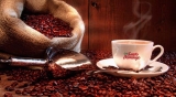 Café Santo Domingo en Granos