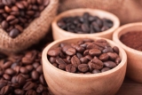 Los Mejores Café Torrefacto