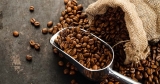¿Te preocupa el medio ambiente? Aumentar la sostenibilidad del consumo de café
