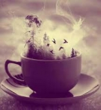 Historias con el café como protagonista