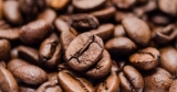 El carísimo Kopi Luwak, el café de civeta