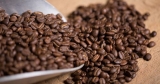 Granos de café de Sumatra Mandheling