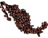 Granos de Café Mexicano