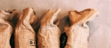 Características del café pasilla