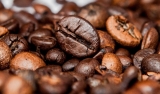 Elegir los granos de café ideales