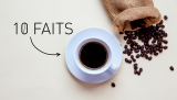 Descubra el café: ¡10 hechos principales que debe conocer!