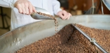 Curva de tueste – blog de café