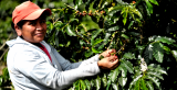 ¿Qué es un café de especialidad?