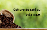 El cultivo del café en Vietnam – blog del café