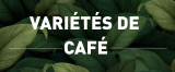 Las diferentes variedades de café