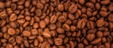¿Puede el café Robusta ser considerado un café de especialidad?
