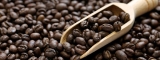 Explorando el Café Caracolillo o PeaBerry: Una Rareza de Sabor