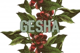 Deja de llamarlo café «geisha» ya