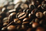 ¿Cuántas tazas de café se preparan con 1 kilo de granos de café?