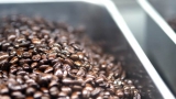 Café de Brasil: De la cantidad pura a la gran calidad