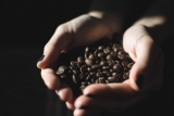 El mejor café Kona: Cultive sus caprichos de cafeína