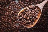 Mejores café en grano natural por menos de 40 €