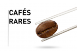 Los mejores cafés en grano del mundo en cafés raros